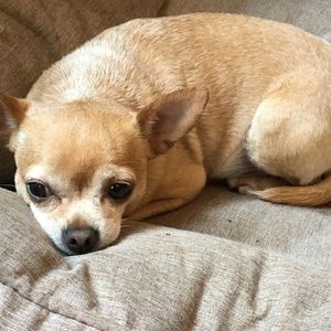 Meet your Posher, Melvin